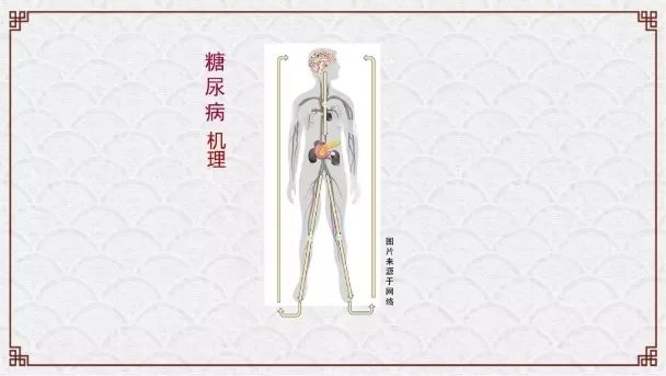 肿瘤与糖尿病——浅谈中医的认识学（诺贝尔奖医学峰会实录）