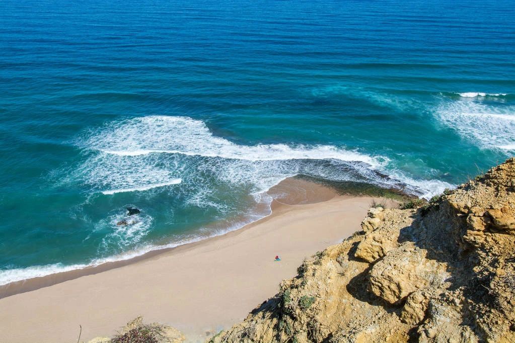 葡萄牙为什么叫葡萄牙店铺,葡萄牙葡萄