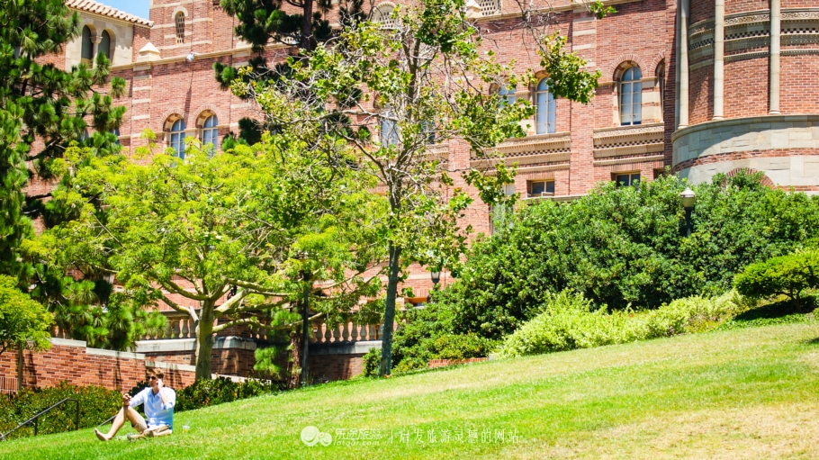 美国加州大学ucla录取条件,ucla加州大学洛杉矶分校女篮