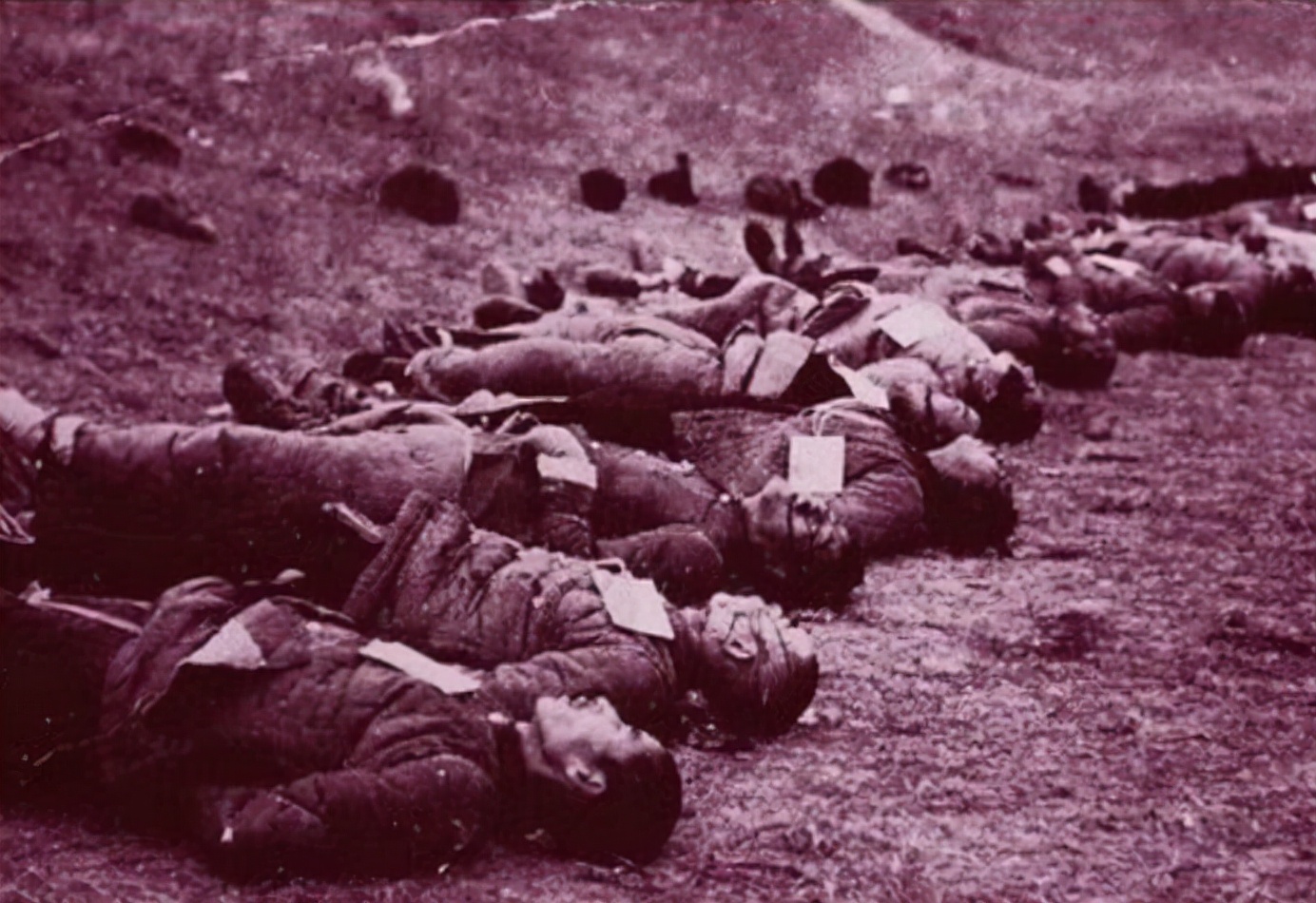 日本战败士兵藏身小岛,1945年战争日本最恐怖部队