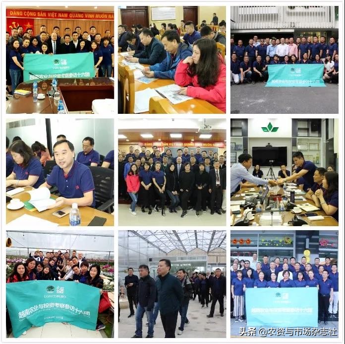 日本农业成功的主要经验,中国和日本农业差距50年