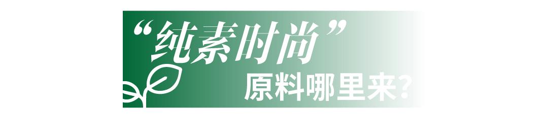 蕾哈娜菠萝纹的服装,蕾哈娜服装品牌