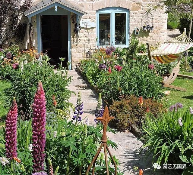 园子里的昆虫有多少,花园里的小动物哪些是昆虫