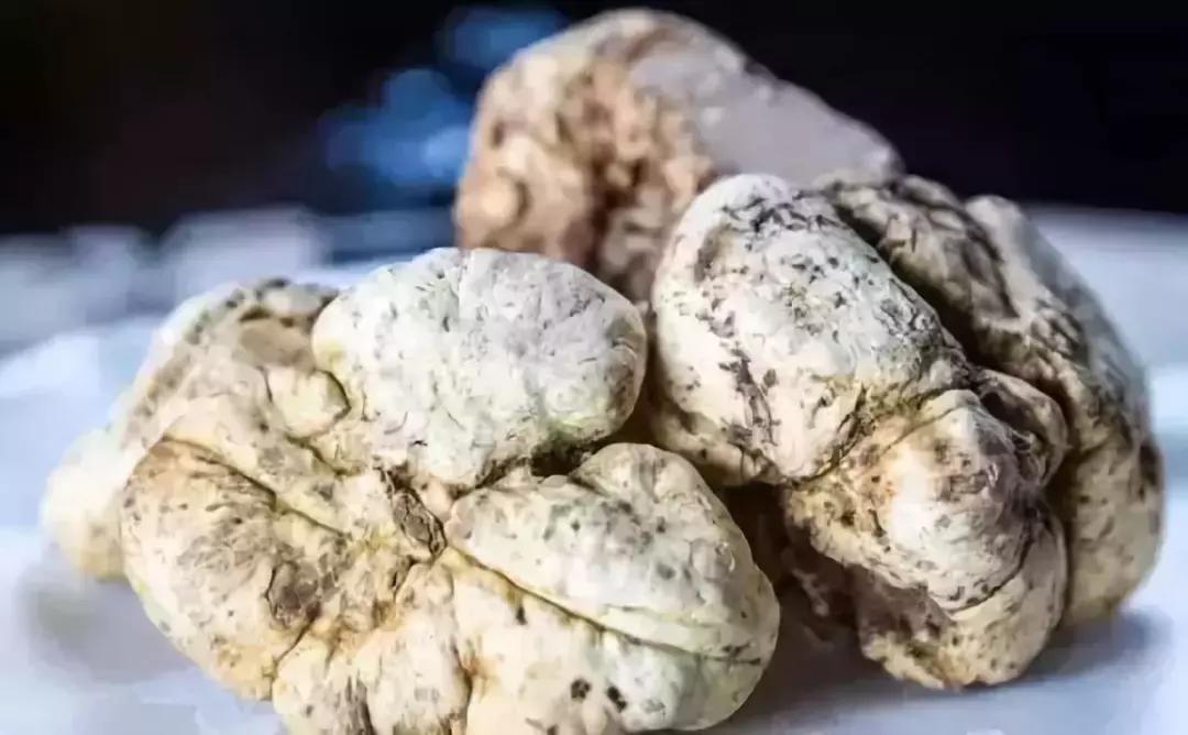 只求最贵不求最好视频,只求最贵是哪部电影台词