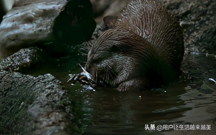 合肥美丽的地方有哪些,合肥是个好地方吗