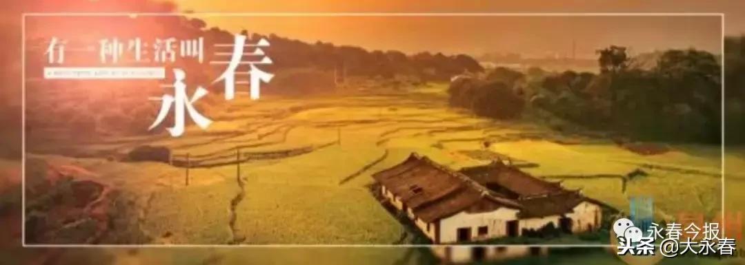 有一种生活叫永春湖洋,有一种生活叫永春夜景