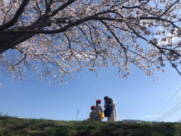 日本九州大学课程,日本九州大学怎么申请