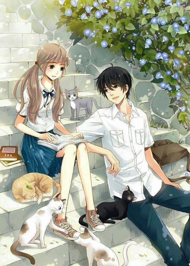 《诺蓝达雅王子》——欧雅露同学成为班花