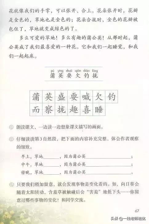 三年级语文金色的草地展现了什么,语文三年级上金色的草地课文讲解