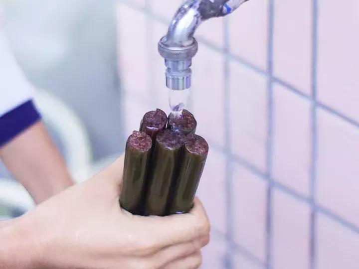 睡莲怎么养能开久一点,睡莲在室内如何养护才能快速开花