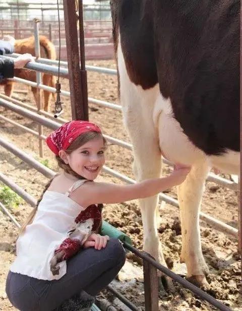 农庄餐饮怎么经营赚钱,怎么经营农家乐卖菜生意