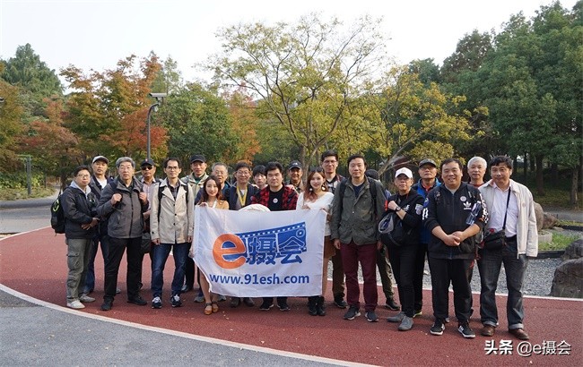 世博公园银杏林摄影照片,上海世博公园银杏最佳摄影机位