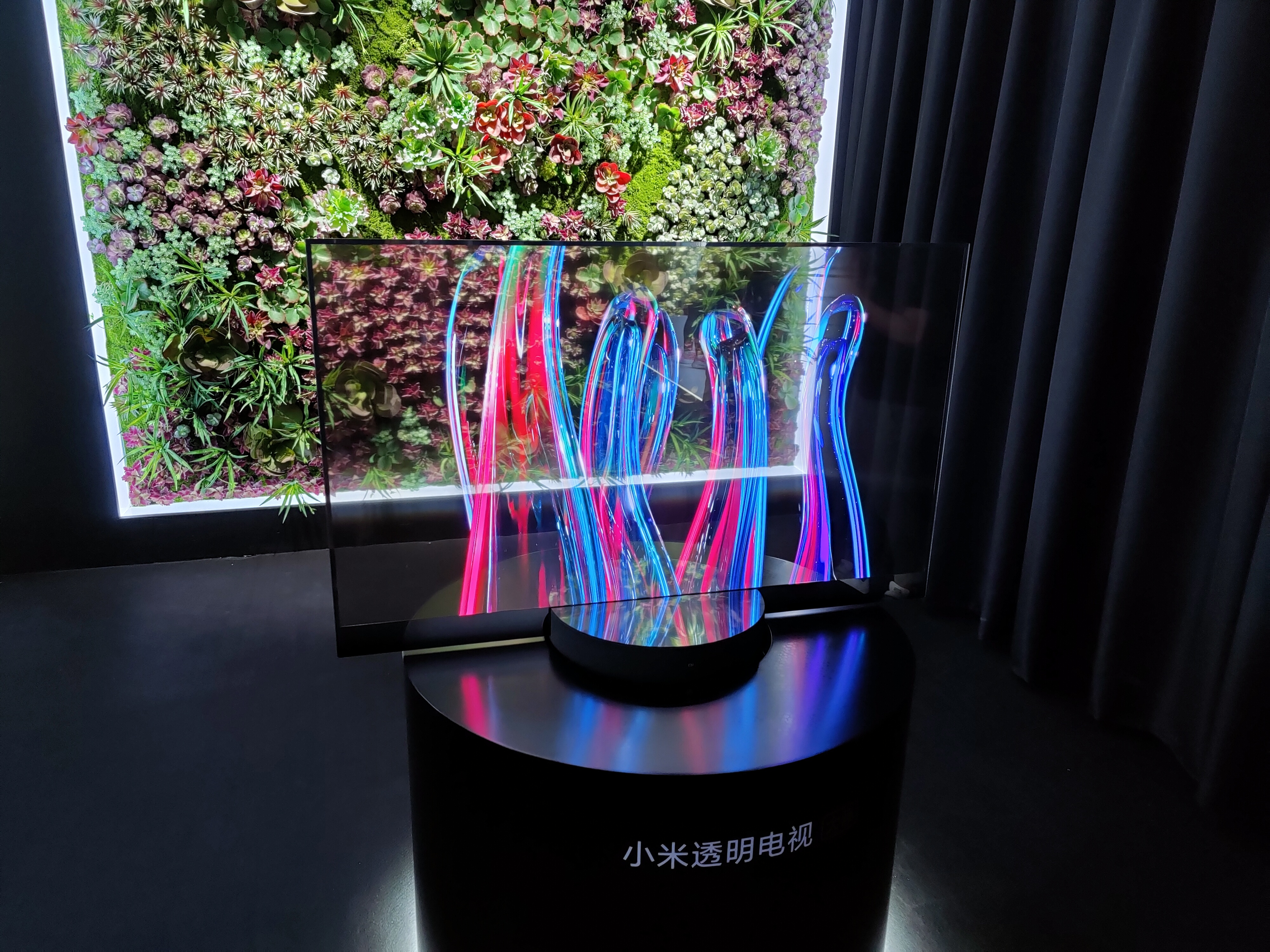 小米科技犬推荐,雷军小米极致爆款