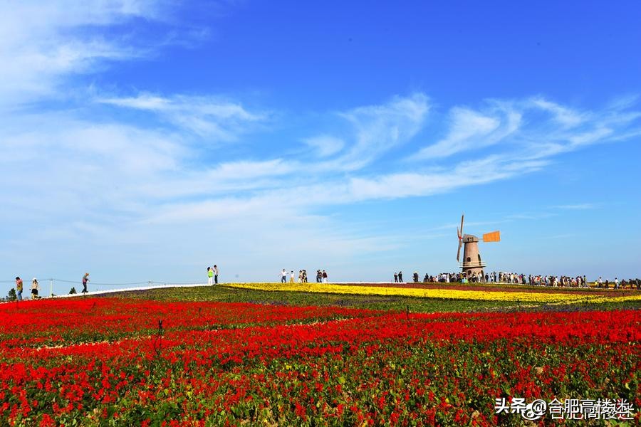 合肥五一旅游指南,五一合肥免费旅游景点