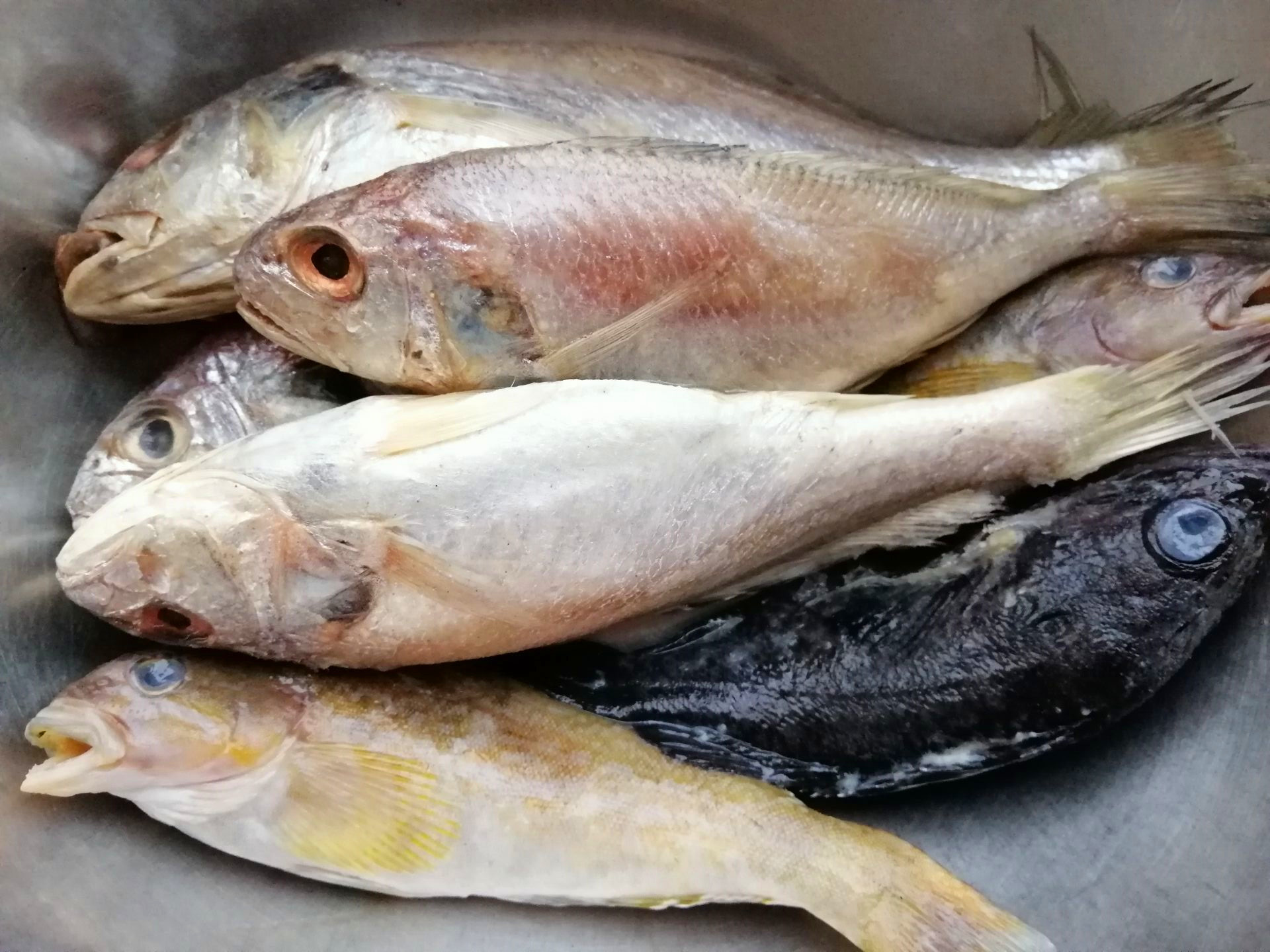 我家吃鱼从来不买，海边姑娘做”鱼“有绝招，吃一次忘不了，香