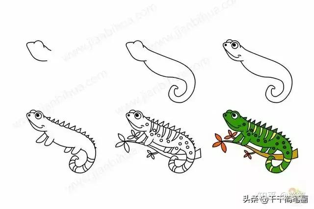 小动物的简笔画怎么画最简单的,画小动物的简笔画教程视频