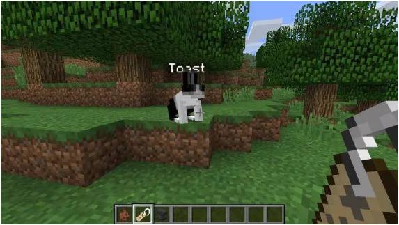 我的世界最难找的稀有生物,无法人工繁育的动物