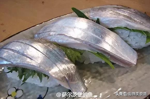 各种寿司纯鲜三文鱼刺身,日本传统寿司都用什么鱼