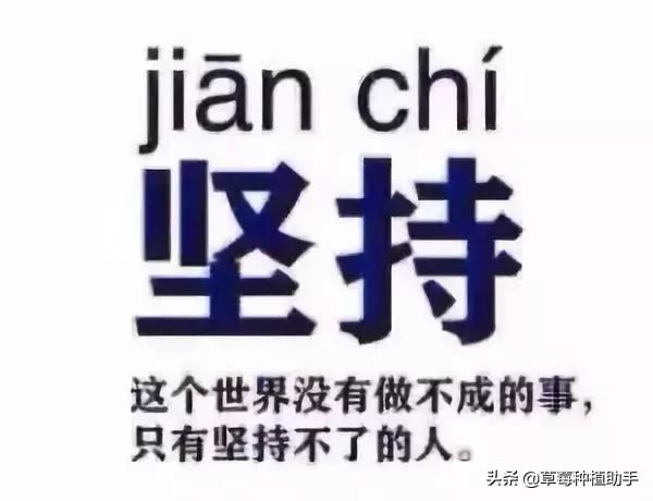 种草莓的都是好男人！转起来，让大家看到！