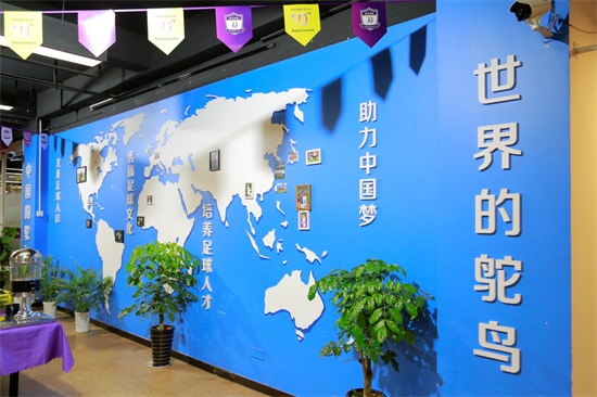 鸵鸟足球俱乐部报名,灵溪鸵鸟足球俱乐部怎么样