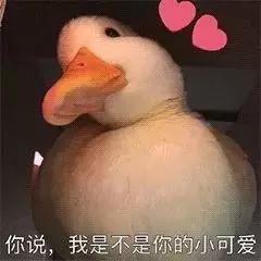 女生爱护自己的秘密,女生保护自己的小秘密