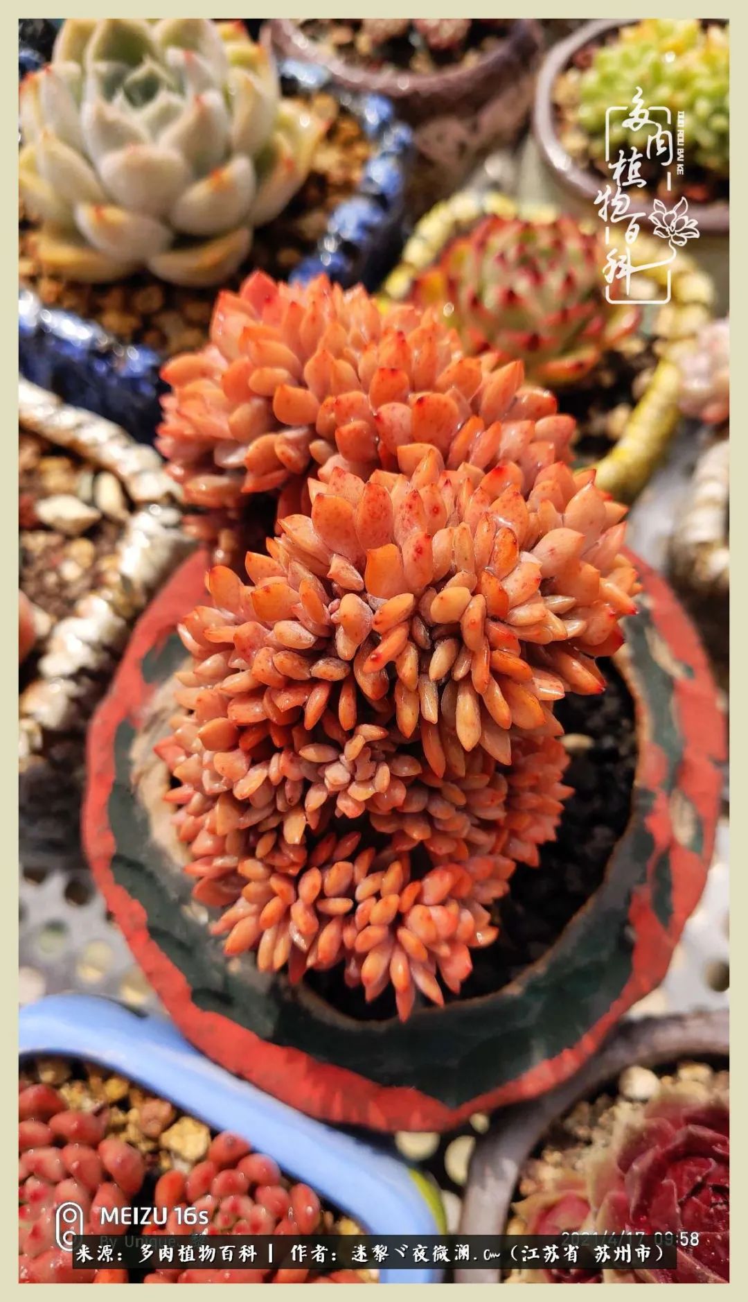 秋尽冬来岁月不居时节如流,岁月不居时节如流水