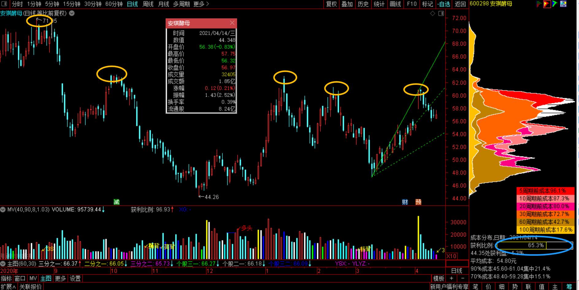 馒头里也有不错的赚钱机会？发现我们“身边”的好公司之安琪酵母