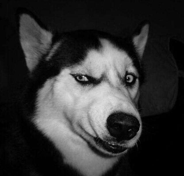 搜神记捉鬼故事,搜神记中灵异事件