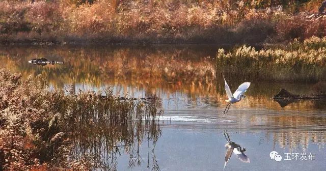台州玉环港能坐船去台湾，你知道吗？浙江通往台湾唯一海上航线