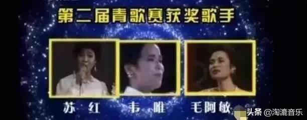 毛阿敏被谁捧红,毛阿敏现在的故事