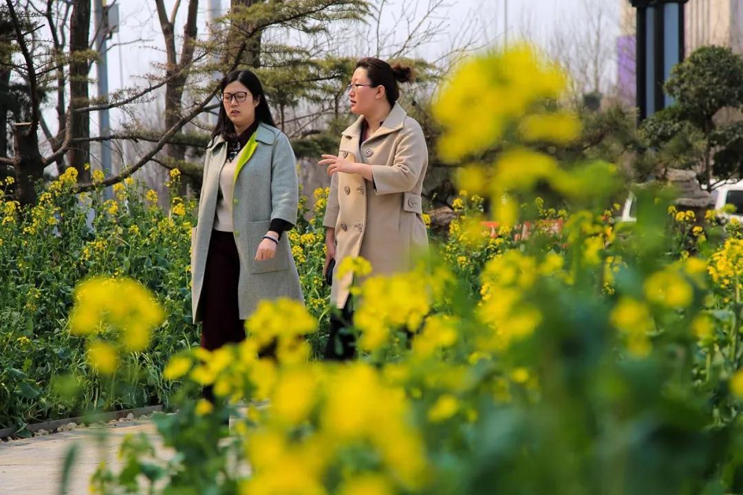 天津春天最美的花园,天津春天去赏花