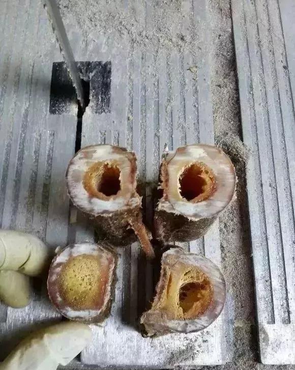 稀有老物件骨头手串,马骨头手串