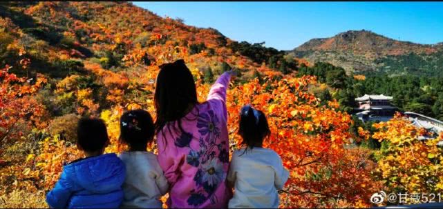 甘薇李小璐董璇,曝董璇李小璐甘薇聚会