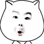 口红里面的铅的危害,口红铅中毒