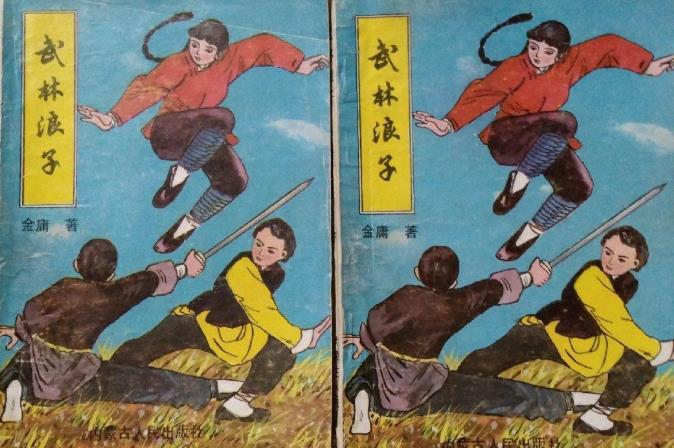 武林浪子，武林当铺，风流女魔梅超风：几部假冒金庸的武侠小说