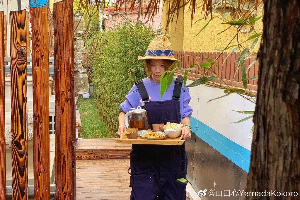 城市李子柒,城里的李子柒