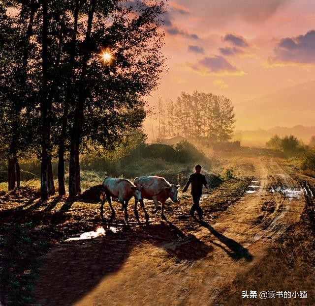 80年代农村淘金热：“跑红两千”病毒式传播，倾家荡产在所不惜