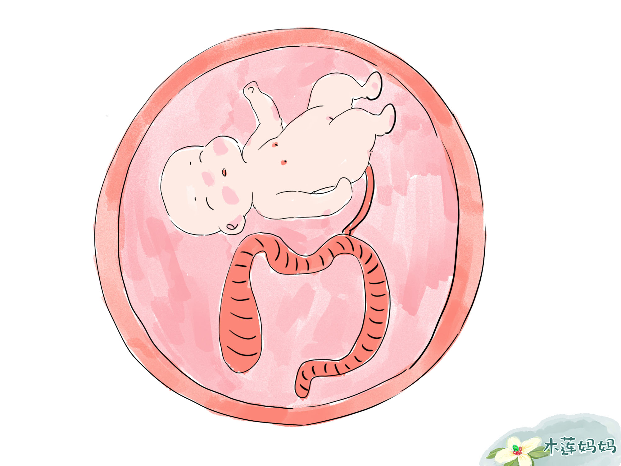 胎儿的粪便如何处理,胎儿的排泄物怎么排出来