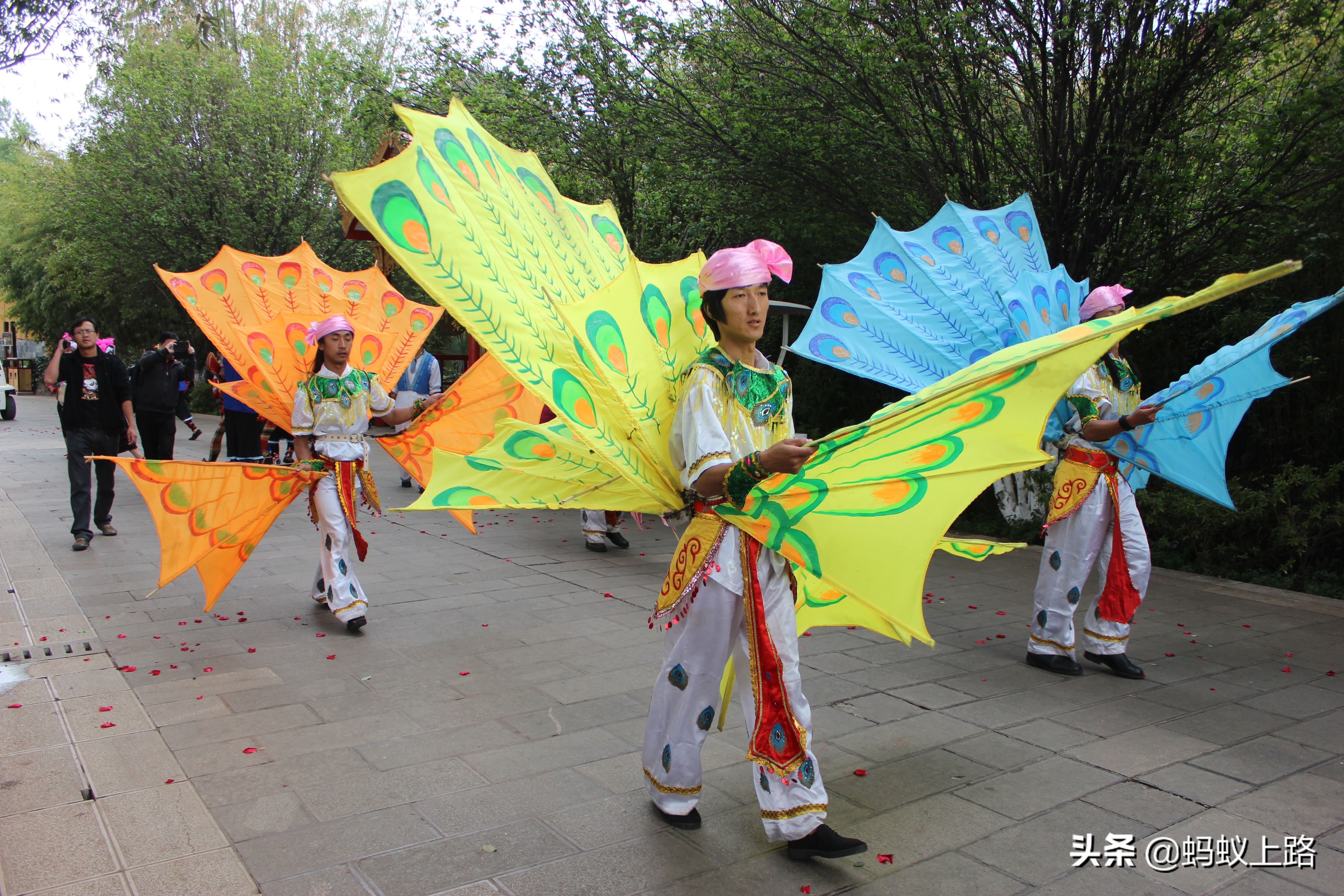 回顾傣族春节盛宴泼水节,云南省傣族泼水节4月几日开始