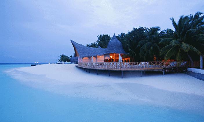 马尔代夫十大坑人岛蕉叶岛,马尔代夫神仙珊瑚岛旅游攻略