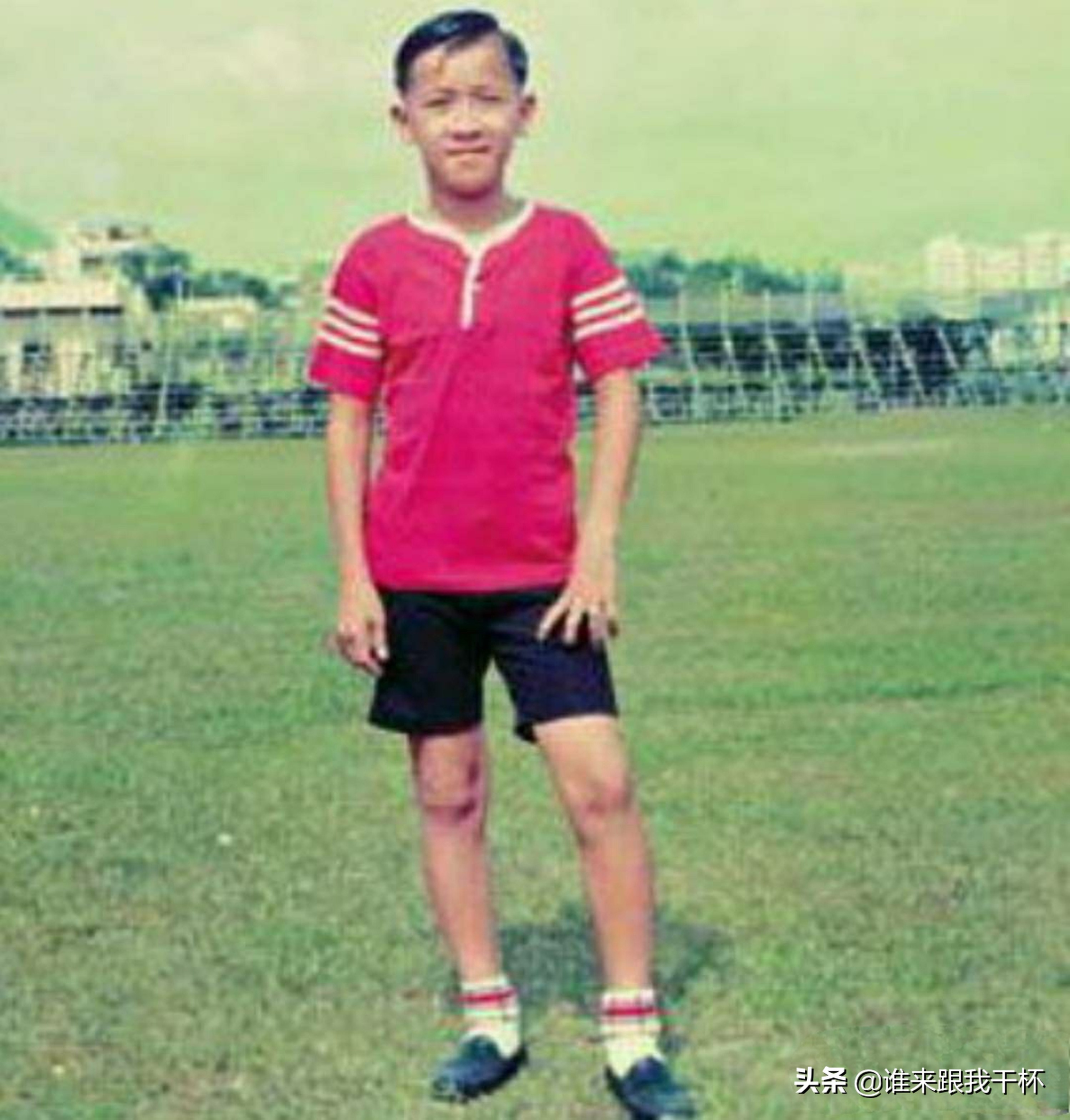 曾志伟吐槽港姐袁咏仪,曾志伟向太