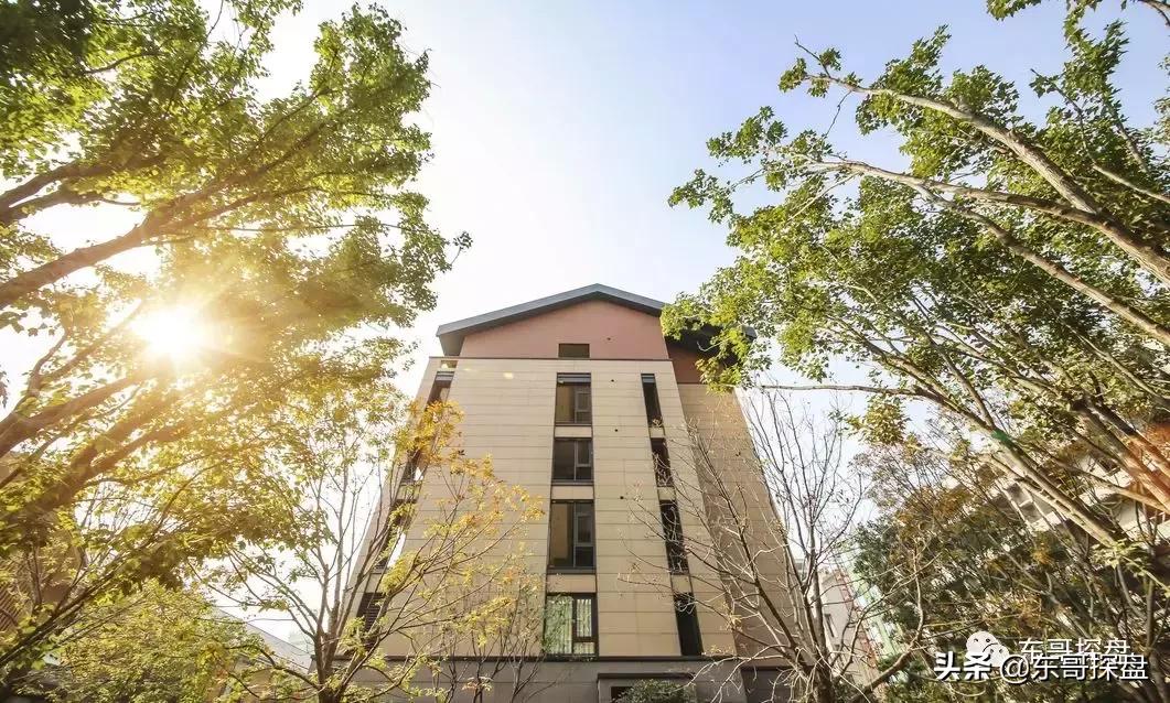 被限价压制的郑东白沙，竟有如此的爆款改善产品？