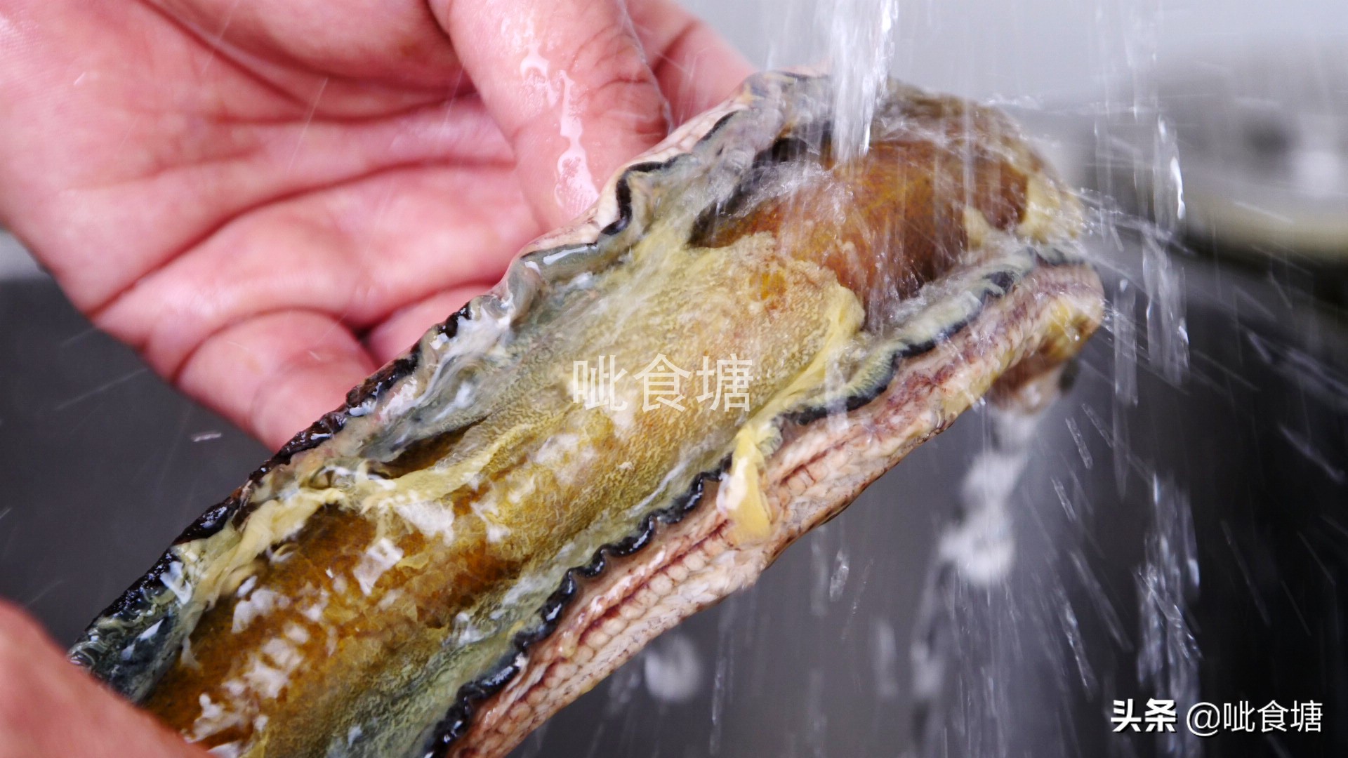 鳝鱼最好吃的做法大全家常,鳝鱼最简单又营养的做法