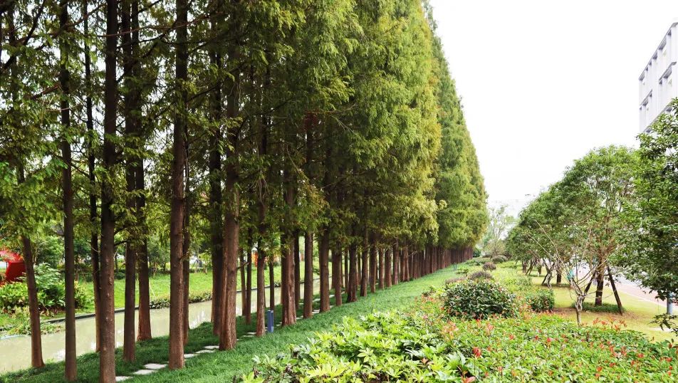 沪上“花园式”工地办公是怎样的体验?来看看这个白玉兰奖工程吧