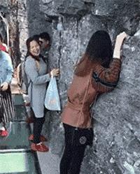 车贴幽默搞笑图片,车贴搞笑的图片