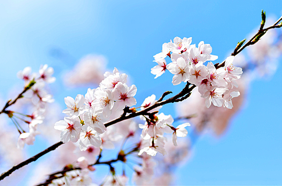 摄影后期色彩搭配原理与技巧,顶级摄影作品中的色彩运用