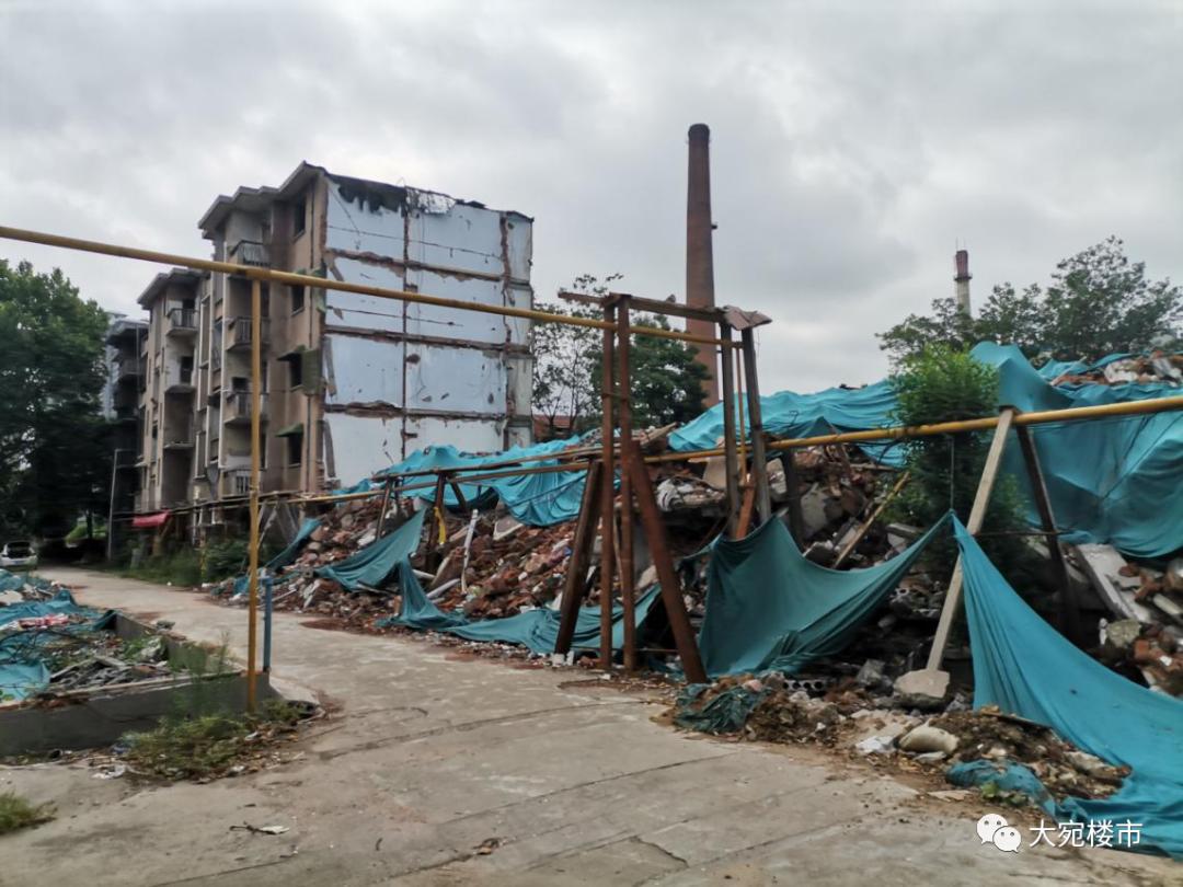 南阳市张仲景健康文化园规划,南阳张仲景文化园最新规划