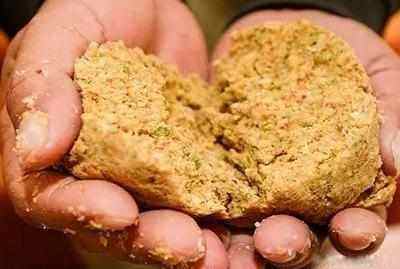 怎样成为垂钓大师,垂钓新人怎么升级学徒