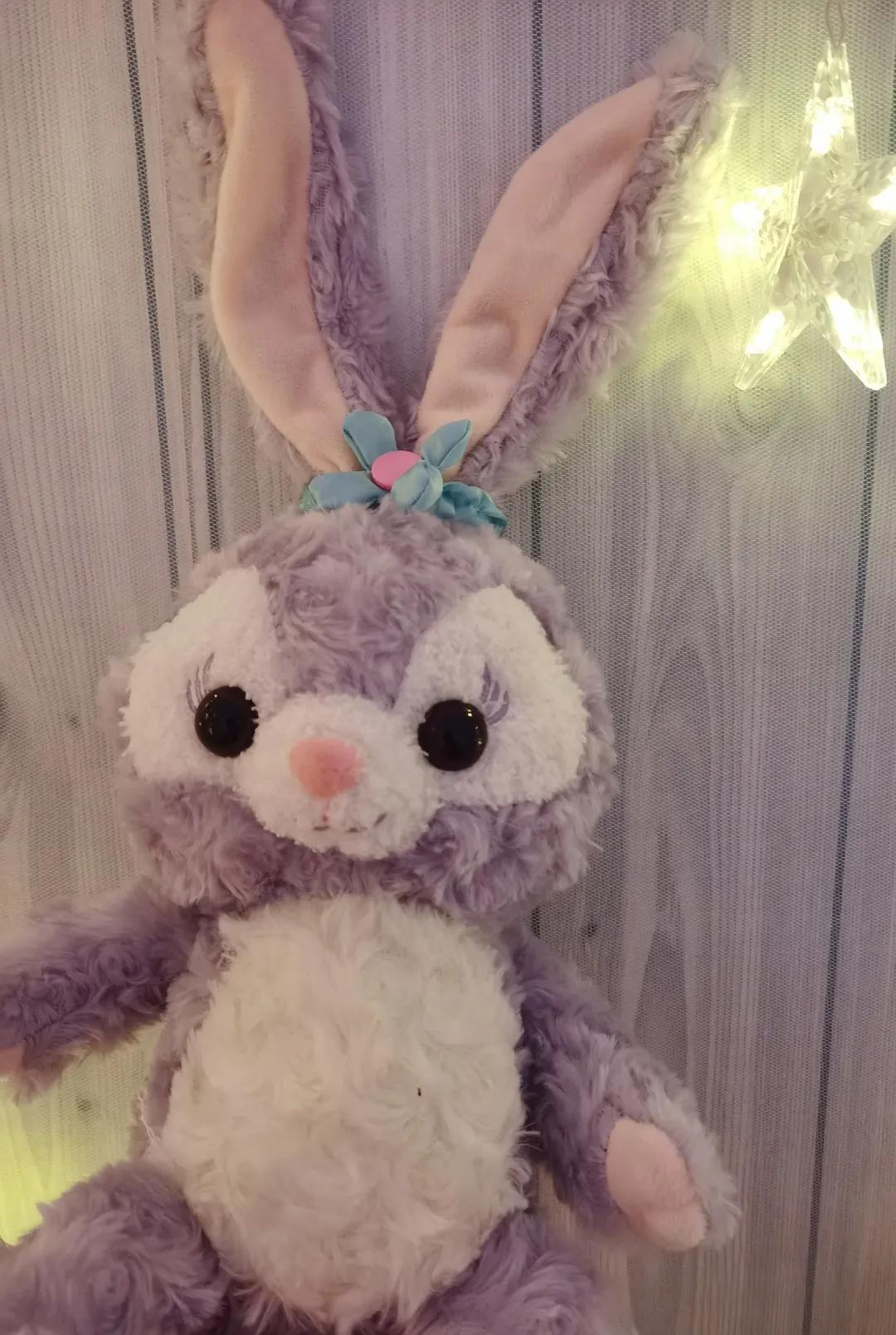 校园春季约拍,校园浪漫约会计划