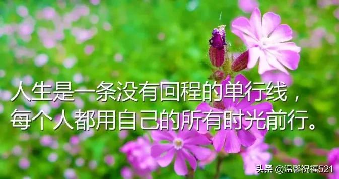 朋友圈触动人心的早安说说,最触动人心的早安句子